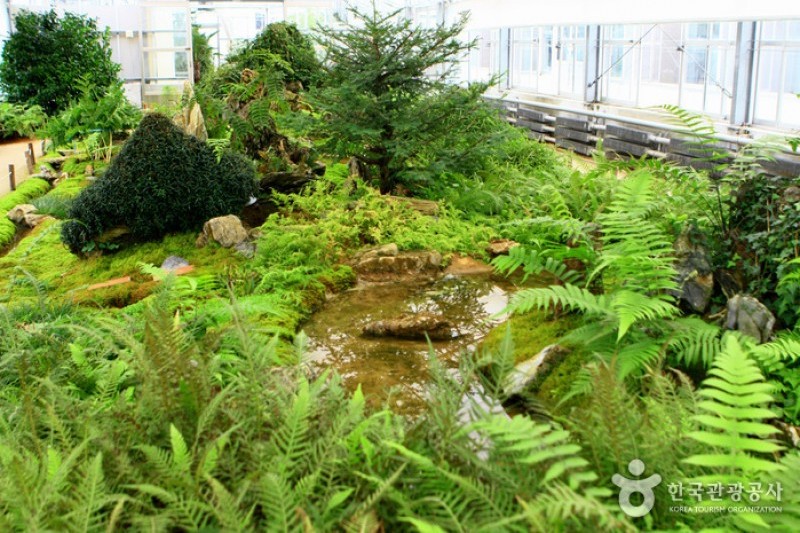 京畿道立水香樹木園