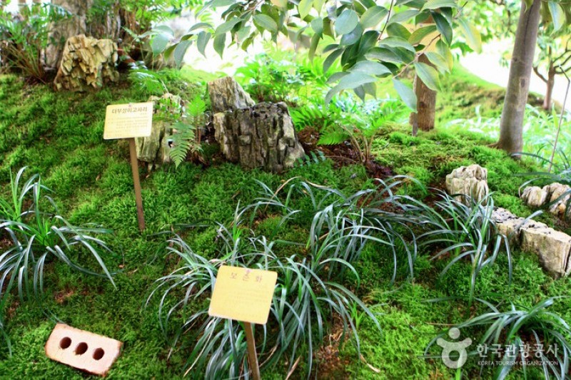 京畿道立水香樹木園