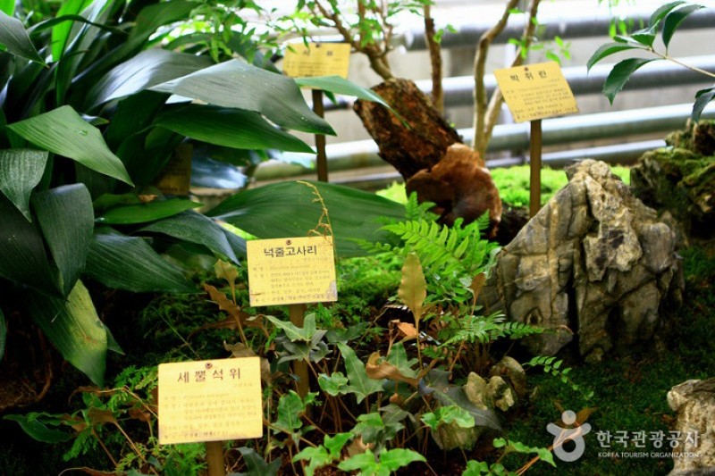 京畿道立水香樹木園