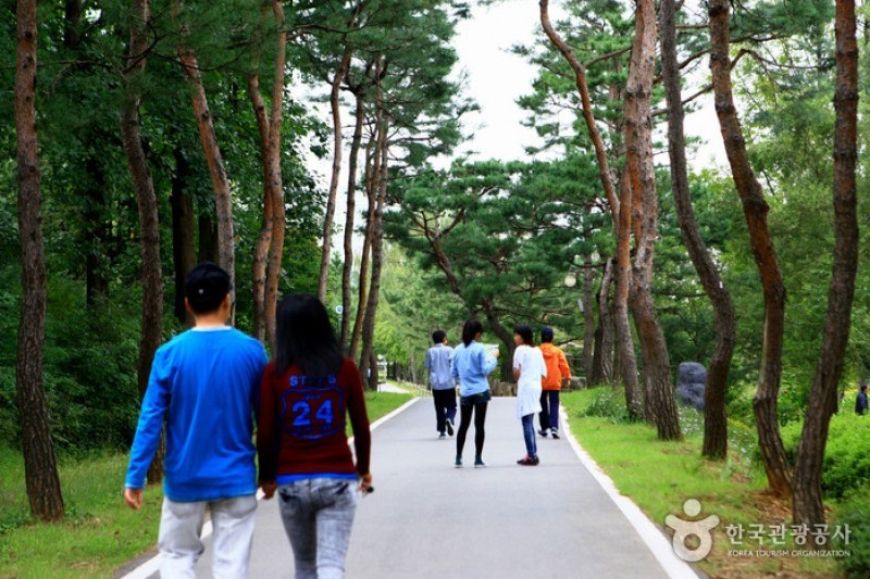 京畿道立水香樹木園