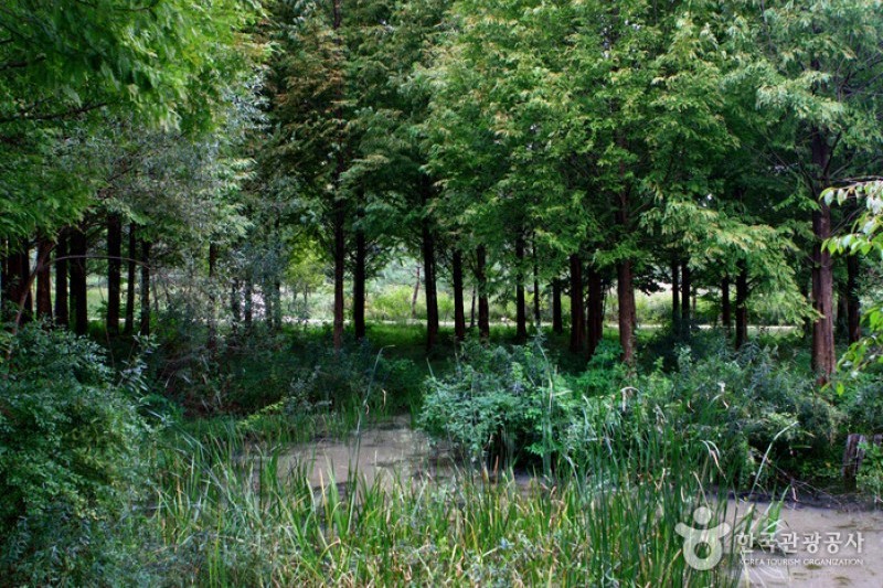 京畿道立水香樹木園