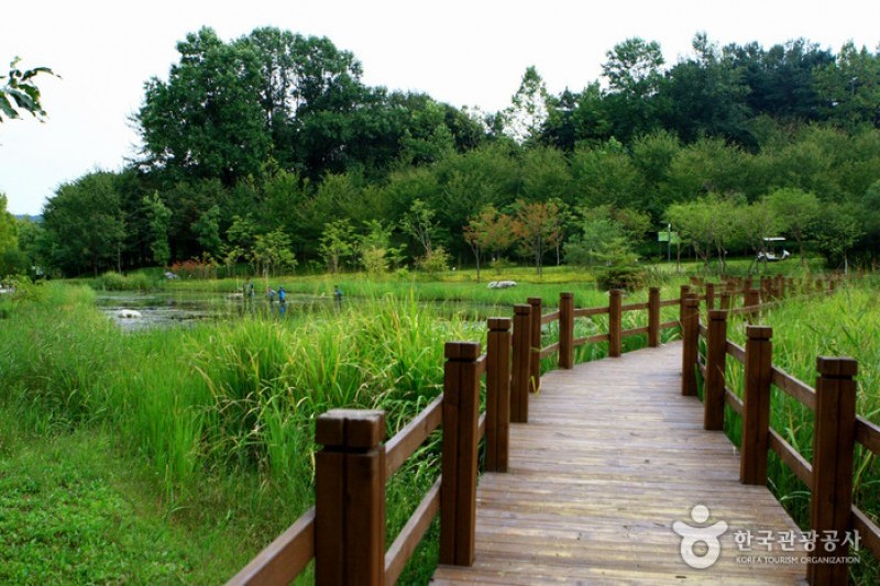 京畿道立水香樹木園