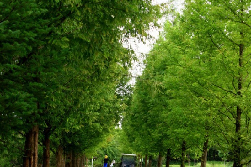 京畿道立水香樹木園