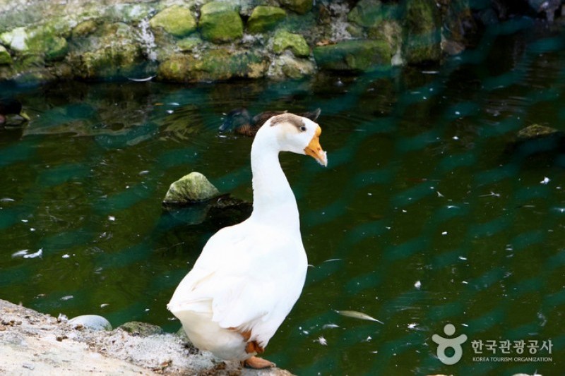 京畿道立水香樹木園
