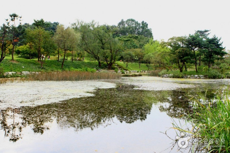 京畿道立水香樹木園