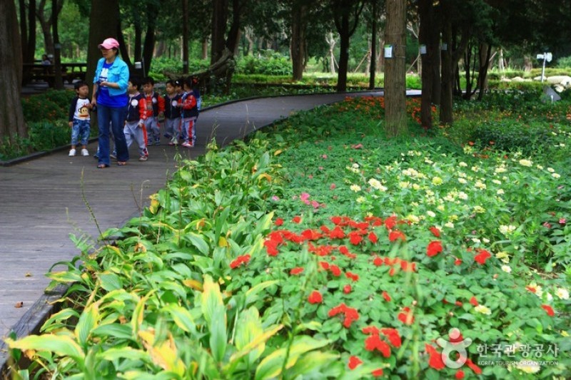 京畿道立水香樹木園
