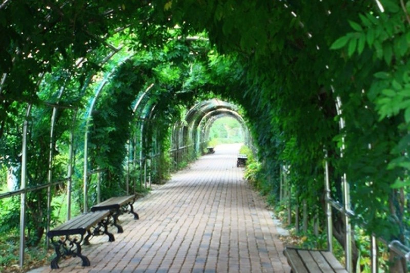 京畿道立水香樹木園