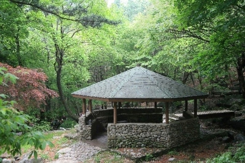 祝靈山自然休養林 (10/12)