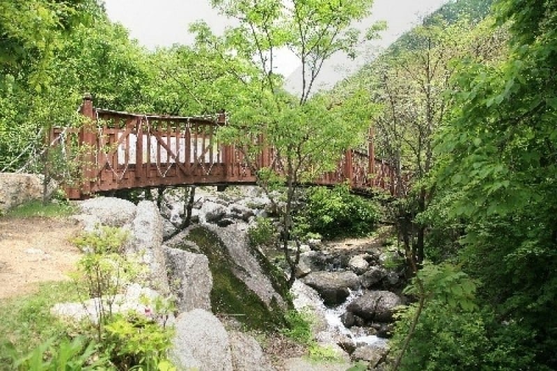 祝靈山自然休養林 (11/12)