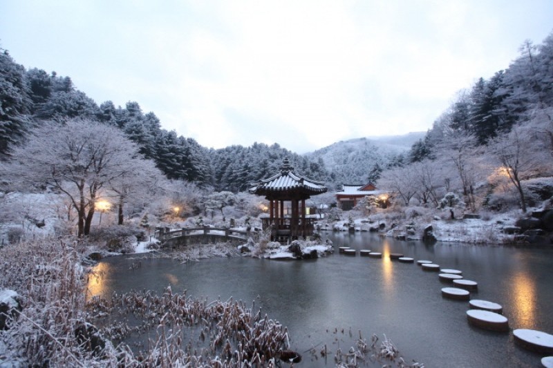 晨靜樹木園五色星光庭園展
