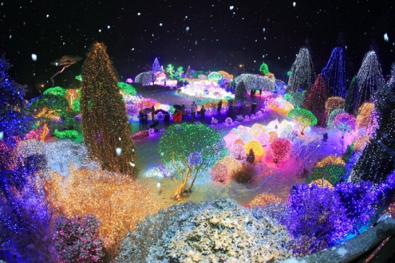 晨靜樹木園五色星光庭園展