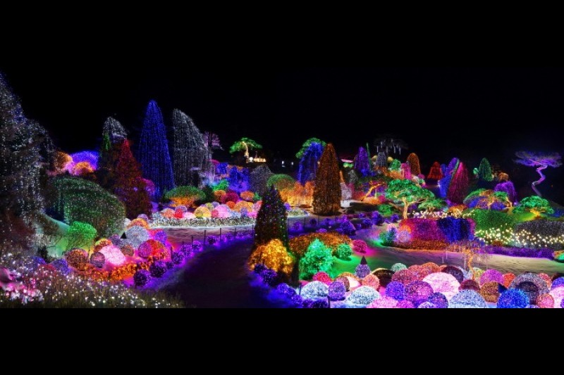晨靜樹木園五色星光庭園展