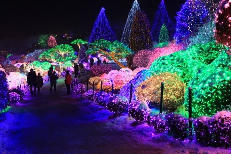 晨靜樹木園五色星光庭園展