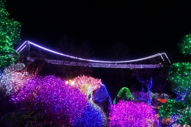 晨靜樹木園五色星光庭園展