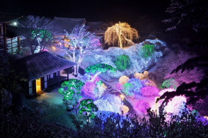晨靜樹木園五色星光庭園展