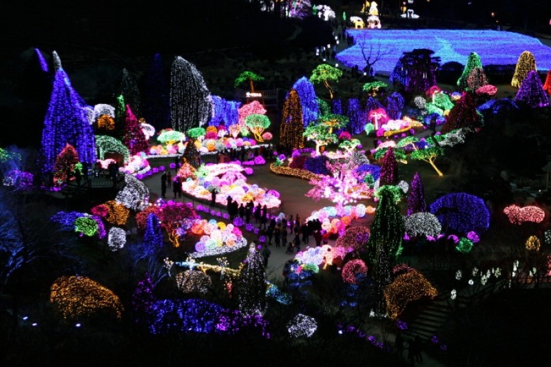 晨靜樹木園五色星光庭園展