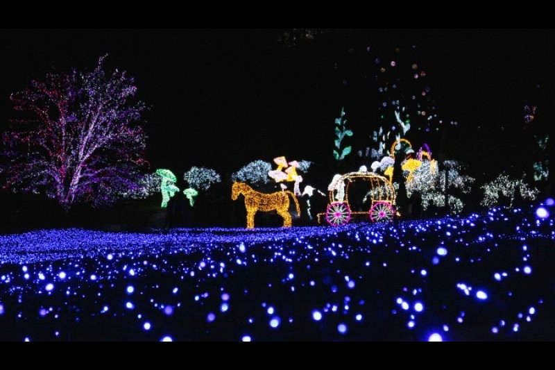 晨靜樹木園五色星光庭園展