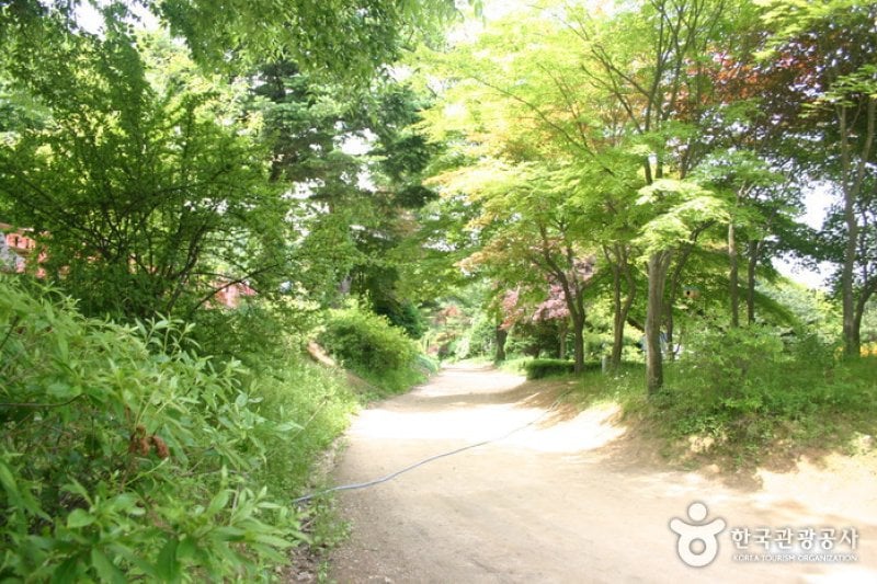 日迎香草樂園