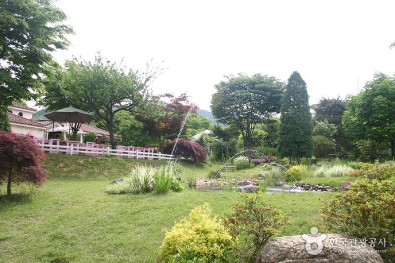 日迎香草樂園