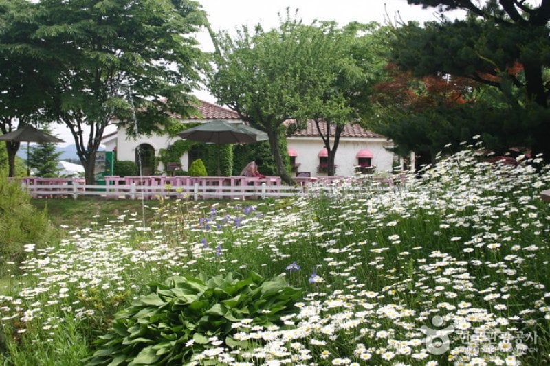 日迎香草樂園