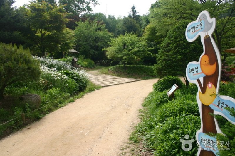日迎香草樂園