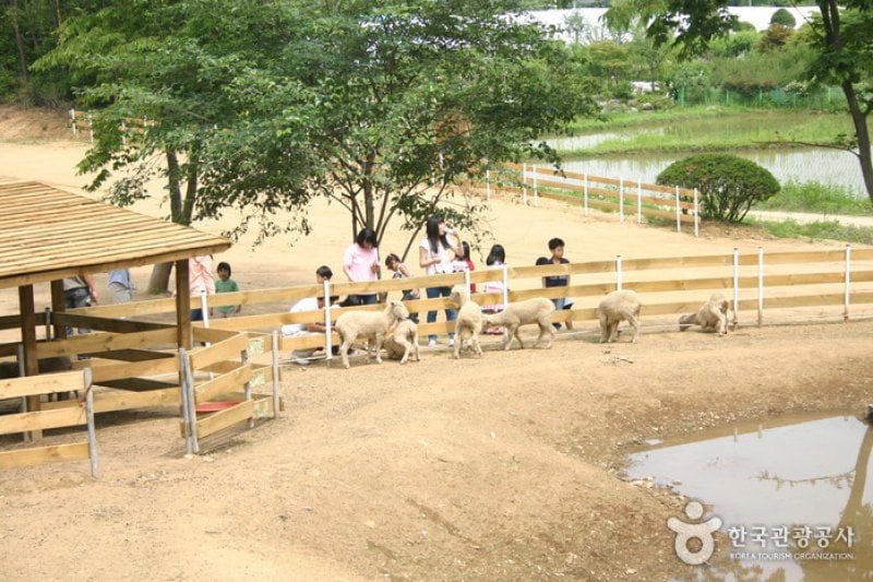 日迎香草樂園
