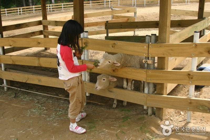 日迎香草樂園