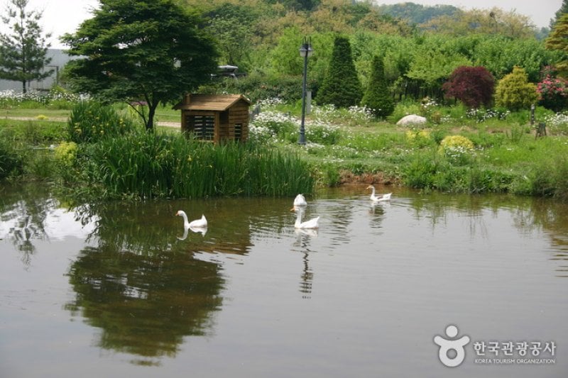 日迎香草樂園