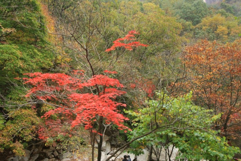 鳴聲山 (1/18)