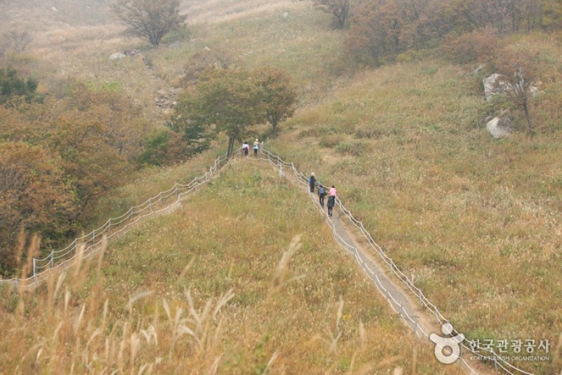鳴聲山 (15/18)