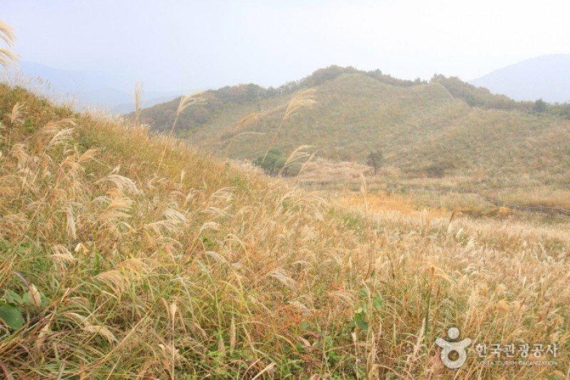 鳴聲山 (16/18)