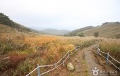 鳴聲山