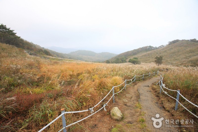 鳴聲山 (17/18)