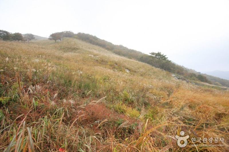 鳴聲山 (18/18)
