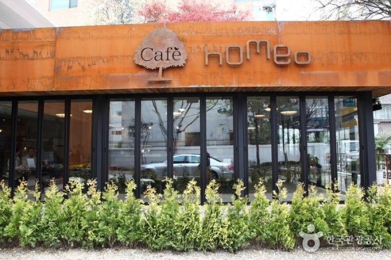 Homeo (9/9)