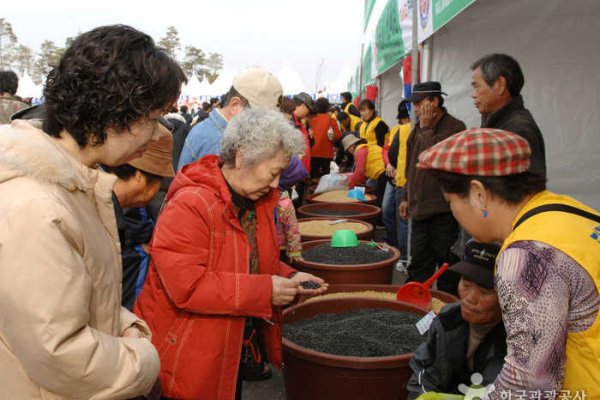 坡州大豆節