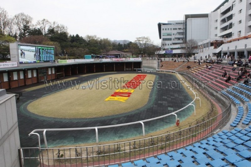 首爾Let's Run Park (2/10)