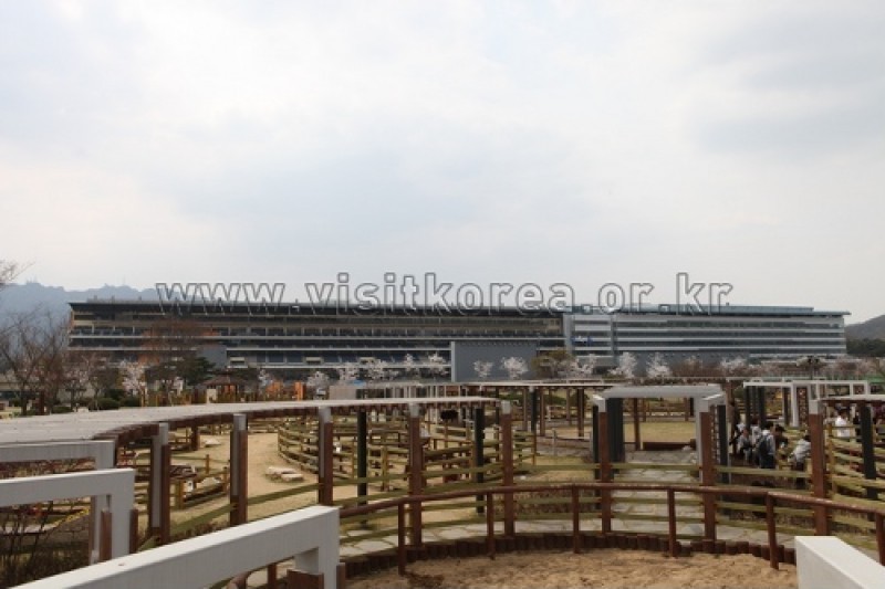首爾Let's Run Park (4/10)