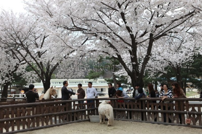 首爾Let's Run Park (6/10)