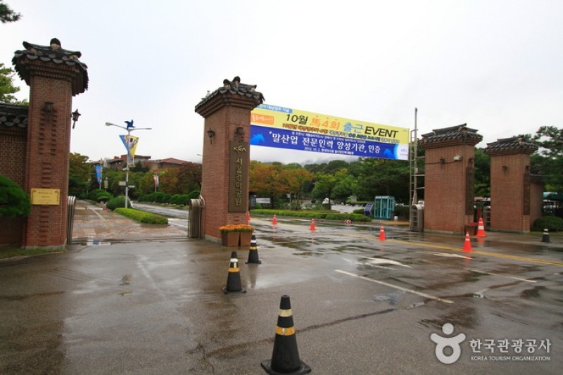 首爾Let's Run Park (7/10)