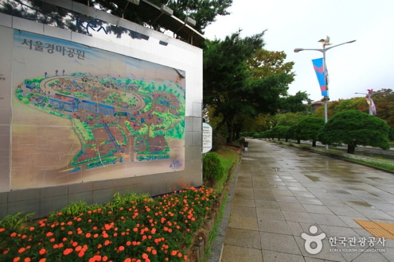首爾Let's Run Park (8/10)