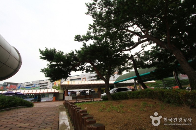 首爾Let's Run Park (10/10)