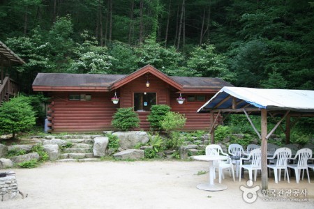 國望峯自然休養林(抱川)