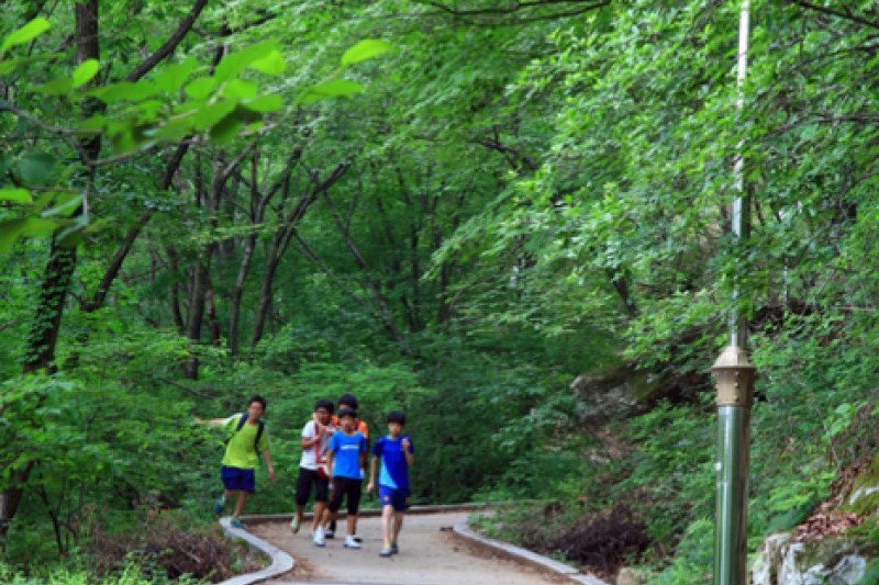 抱川山井湖