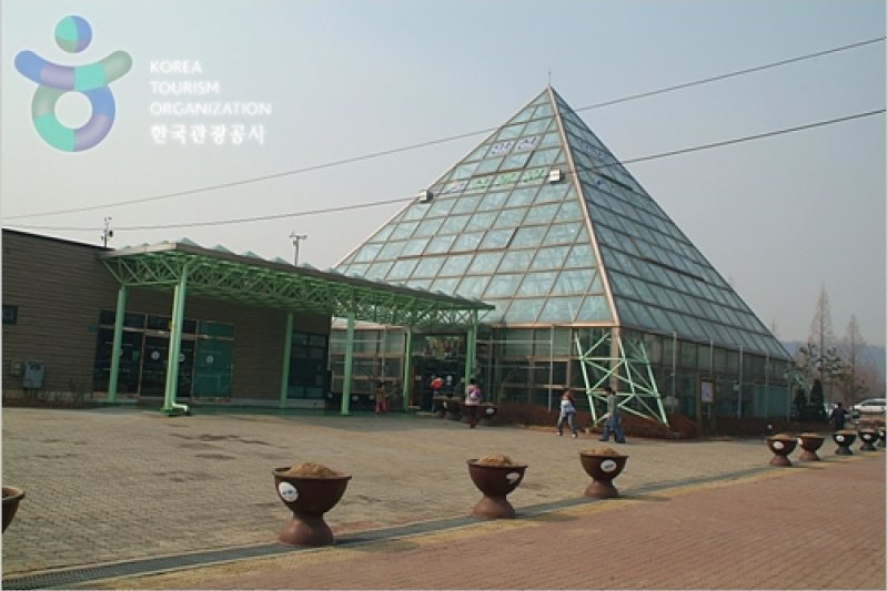 安山植物園 (1/15)