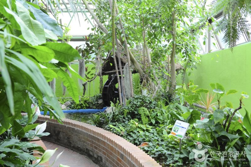 安山植物園 (3/15)