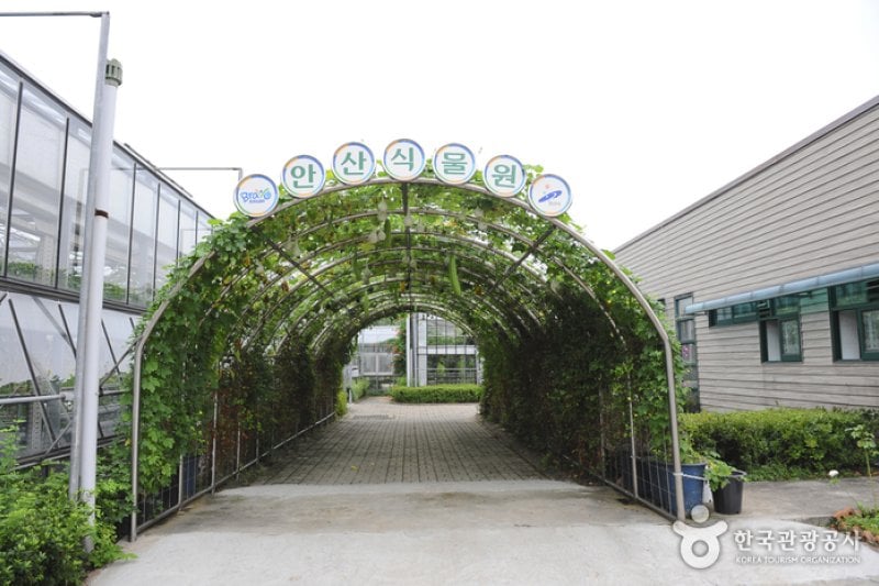 安山植物園 (6/15)