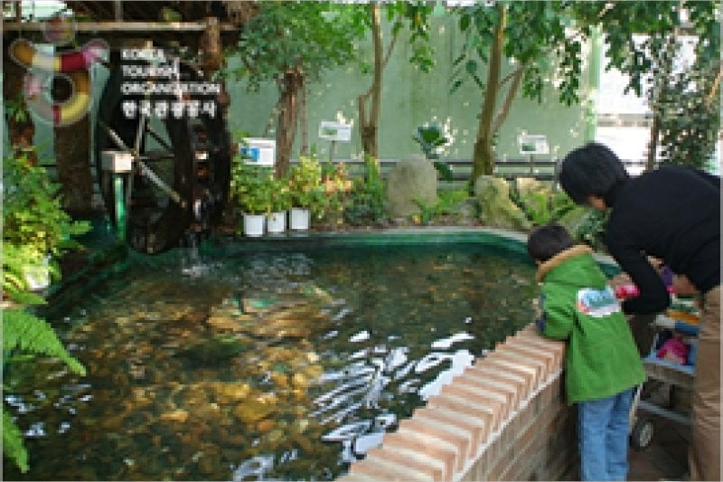 安山植物園 (10/15)