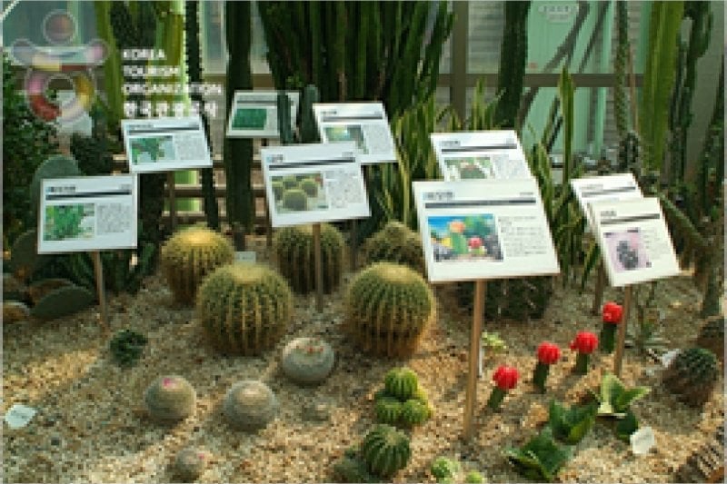 安山植物園 (12/15)