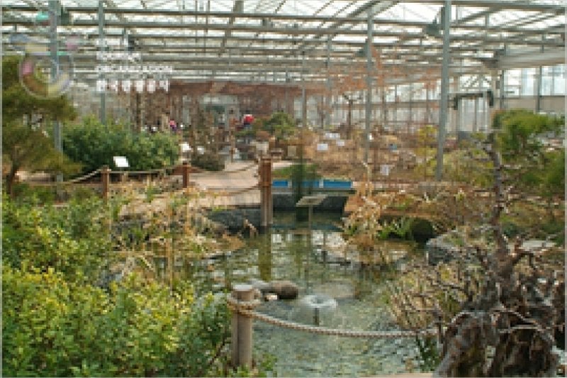 安山植物園 (14/15)
